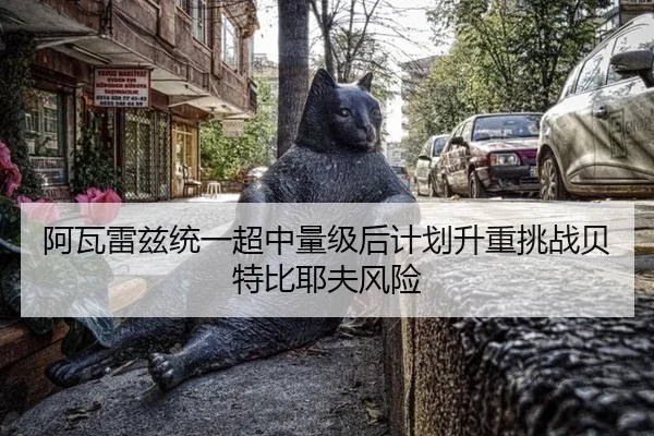 阿瓦雷兹统一超中量级后计划升重挑战贝特比耶夫风险