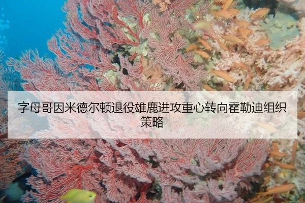 zi-mu-ge-yin-mi-de-er-dun-tui-yi-xiong-lu-jin-gong-zhong-xin-zhuan-xiang-huo-lei-di-zu-zhi-ce-lve-2-677.jpg
